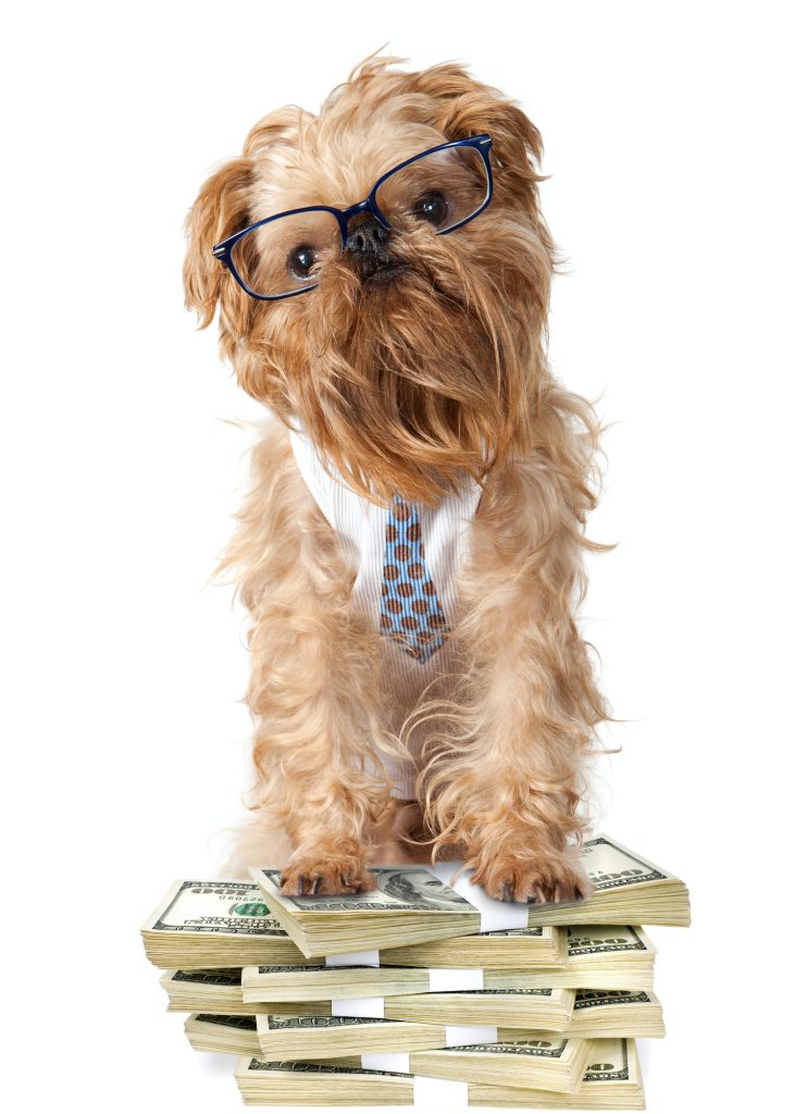 Dog with glasses guards a pile of cash